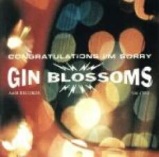 Til I Hear It from You／Gin Blossoms ポップでセンチメンタルなギターリフ
