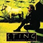 If I Ever Lose My Faith In You／STING