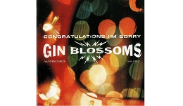 Gin Blossoms【Til I Hear It from You】