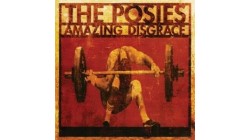 The Posies【Please Return It】