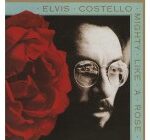 Elvis Costello【The Other Side of Summer】