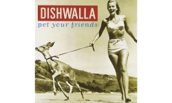 Dishwalla【Counting Blue Cars】