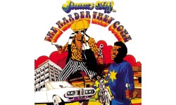 Jimmy Cliff【Many Rivers to Cross】